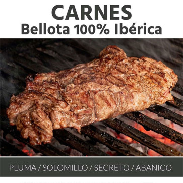 Selección Carne 100% Ibérica de Bellota