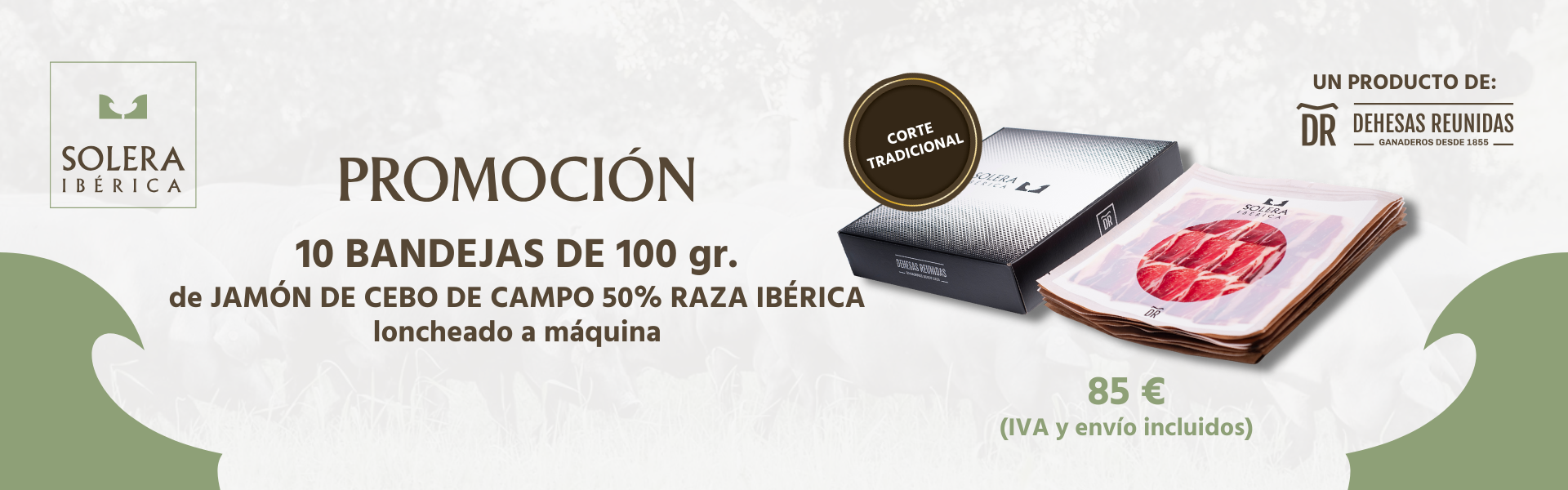 Jamón de Bellota 100% Ibérico