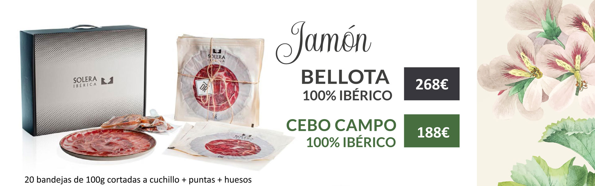 Ofertas Primavera