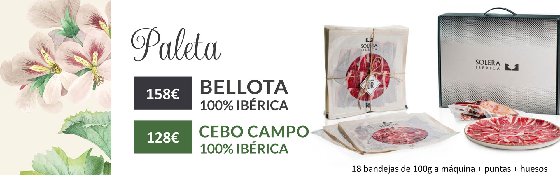 Ofertas Primavera
